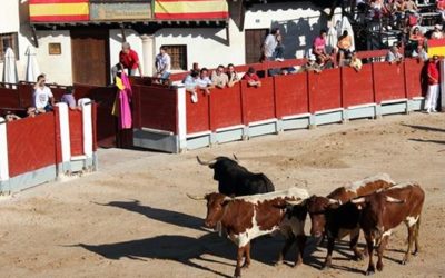 Fiestas de Santiago Apóstol en Chinchón 2017